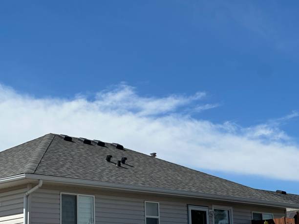 Best Rubber Roofing (EPDM, TPO)  in Zolfo Springs, FL